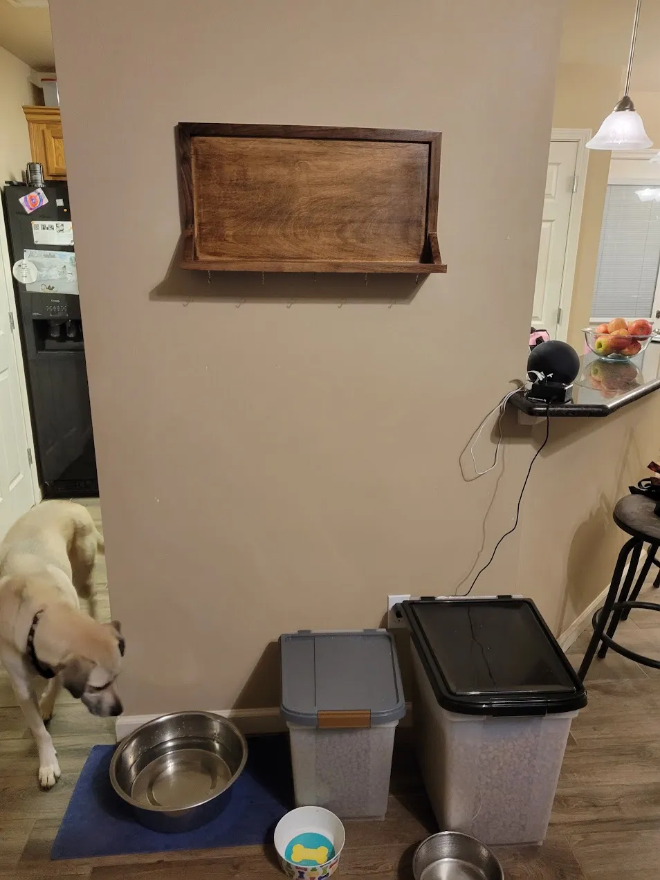 Shelf mounted on the wall before the photo collage was added, with a dog walking by